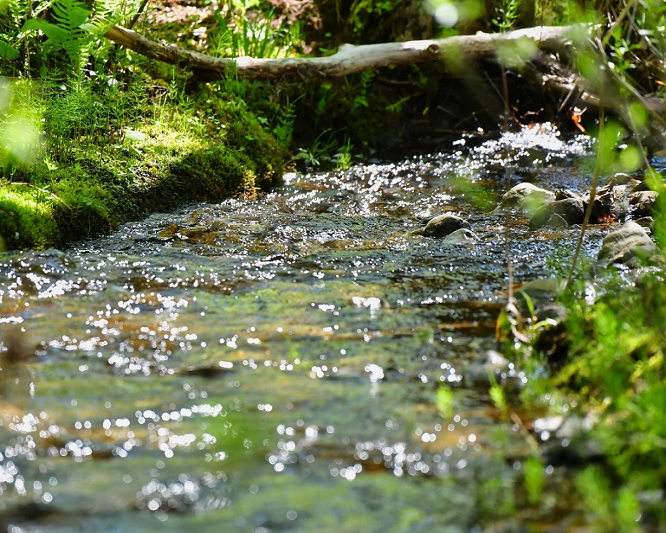 グラニットミネラルについて画像